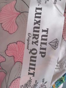 Blanket Tulip 1