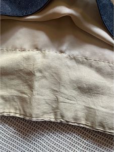 Beautiful Shiny Saree