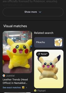 ⚡️ Pikachu Plush Toy with Suction Hook