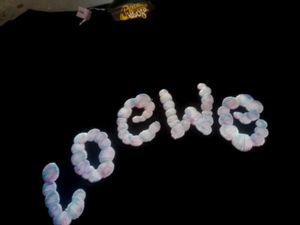 Loewe Black Tee