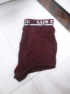 lux cozi underwear
