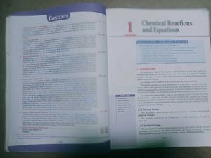 Class 10 Prachi Science Chemistry Textbook