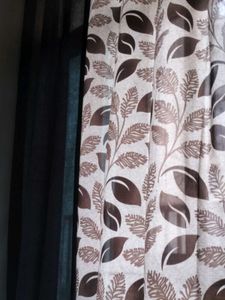 Printed Curtain Set of 2
