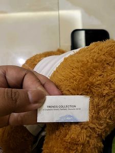 Bravery Bear - MQ Health Plush Toy