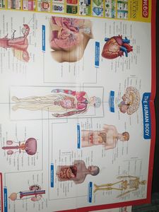 Mtg Ncert At Your Fingertips Bio For Neet