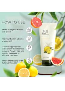 The Face Shop Herb Day FaceWash
