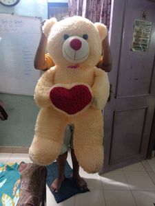 Teddy Bear For Sale