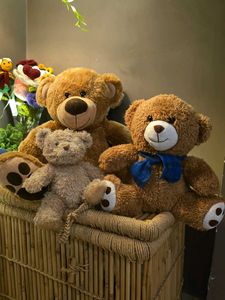 Adorable Teddy Bear Trio