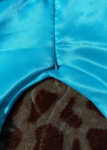 Ball Gown Satin Dress