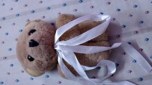 combo of 3 clutches and a teddy bear