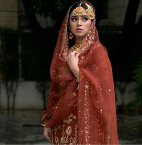 New Standard Beautiful Pakistani Garara Dress Inpo
