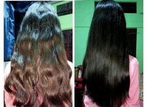 VEGA 3 -in-1 Hair Styler