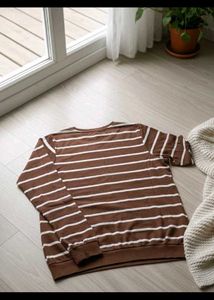 Striped Brown T-Shirt for men (L)