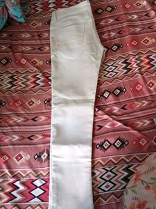 36 Inches Formal Pant