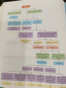 Class 9th Science book