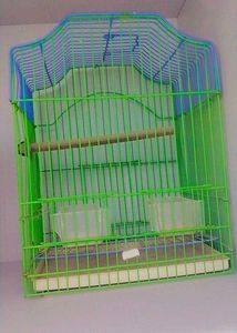 Birds Cage