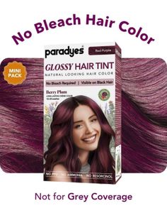 PARADYES GLOSSY HAIR TINT~BERRY PLUM (MINI PACK)