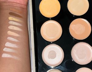 Ultimate Concealer palattee