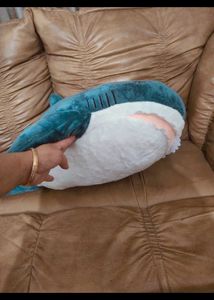 Toy