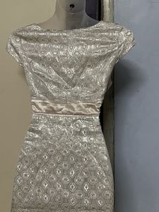 Korean Silk Silver Bodycott One Piece