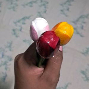 Cute Rose Pencils From Holland