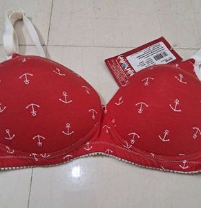 Lightly Padded Soft Envie Brand Bra