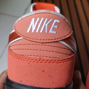 Nike SB Red Lobster New (Open For Negotiations)