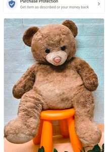 Giant Teddy Bear