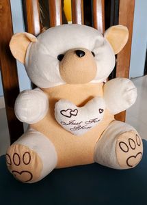 Soft Toys Combo Big And Small Teddy