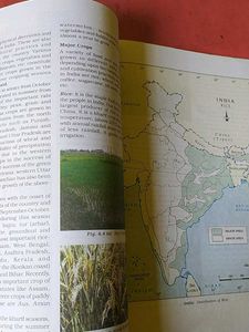 Social Science Contemporary India Class 10 NCERT