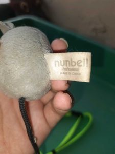 Cats OR Puppies Litter Combo With FREEBIES