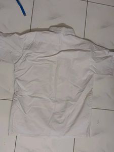 Greendale School Uniform Shirt