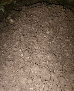 Home Made Compost For Plants
