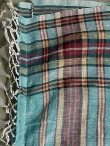 Striped Cotton Saree with Blouse