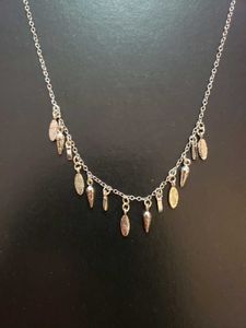 Long Silver Chain