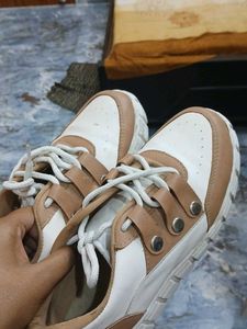 Stylish Casual Shoes