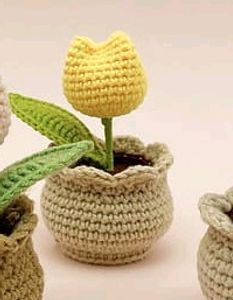 Mini Tulip Pot