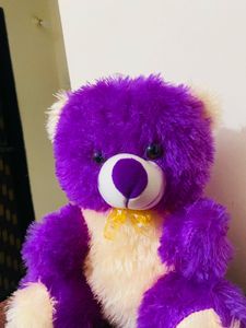 Purple Teddy Bear