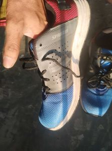 Blue Spartan Sport Shoes