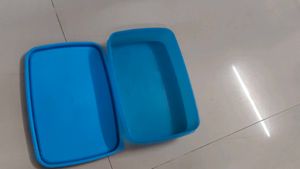 Signoraware Tiffin Box Plastic