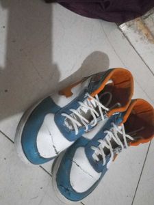Nike Sneakers - Distressed Condition