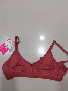 Everyday Bra Pink
