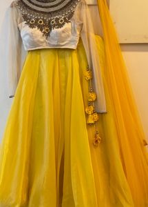 Embroidered Lehenga Choli