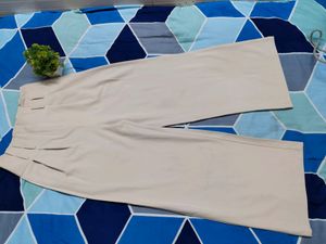 Branded Stylish Pant