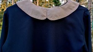 Sassafras Shirt With Surprise Freebie