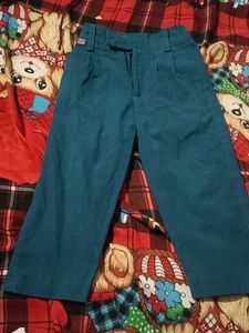 Vintage Teal Wide-Leg Pants