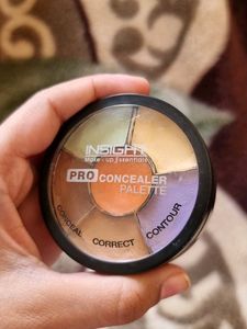 Pro Concealer Palette
