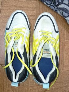 Mens Multicolor Shoe