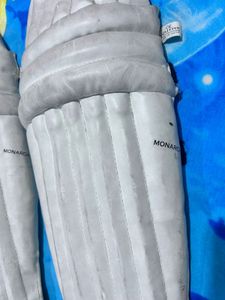 Cricket Batting Pads