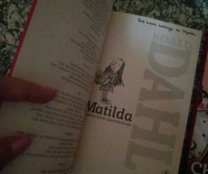 Roald Dahl Set